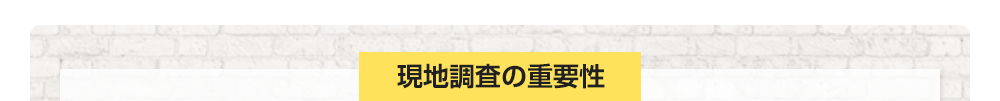 現地調査の重要性